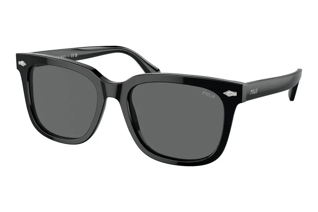 Polo   PH4210 500187 GreyShiny Black