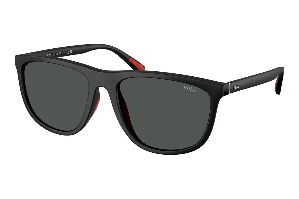 Polo   PH4231U 550487 Dark GreyMatte Black