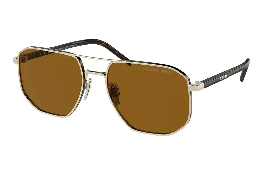 Prada   PR 59YS ZVN5Y1 Polar BrownPale Gold