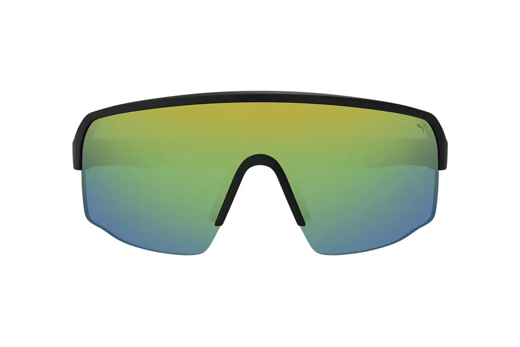 Vorderansicht Puma PU0399SK (002)