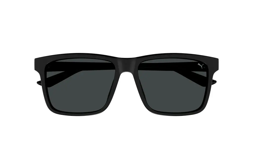 Vorderansicht Puma PU0479SA (001)