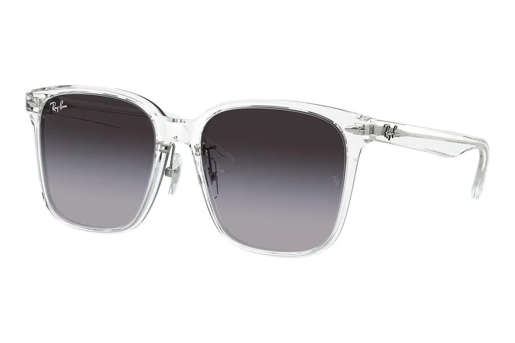 Ray-Ban   RB2206D 64478G Grey & BlueTransparent