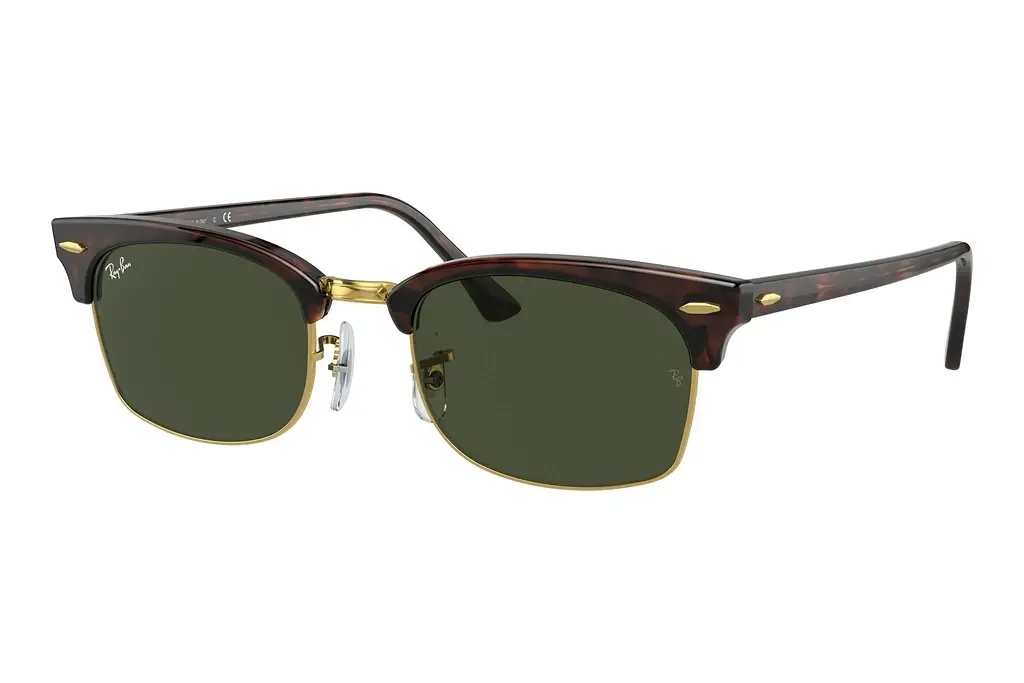 Ray-Ban   RB3916 130431 G-15 GreenTortoise