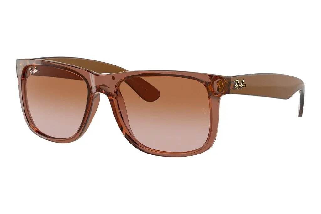 Ray-Ban   RB4165 659413 BrownTransparent Light Brown
