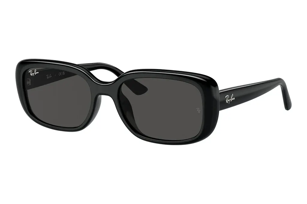 Ray-Ban   RB4421D 667787 Dark GreyBlack