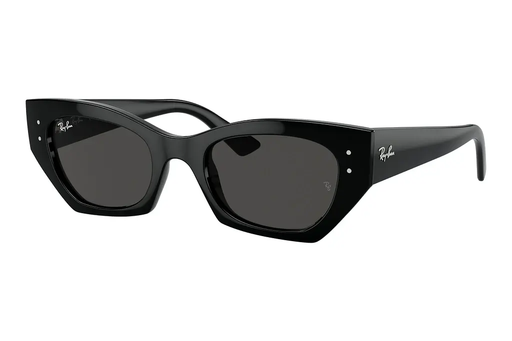 Ray-Ban   RB4430 667787 Dark GreyBlack