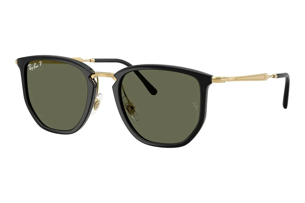 Ray-Ban   RB4451 630658 Polar GreenBlack