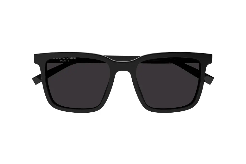 Vorderansicht Saint Laurent SL 500 (001)