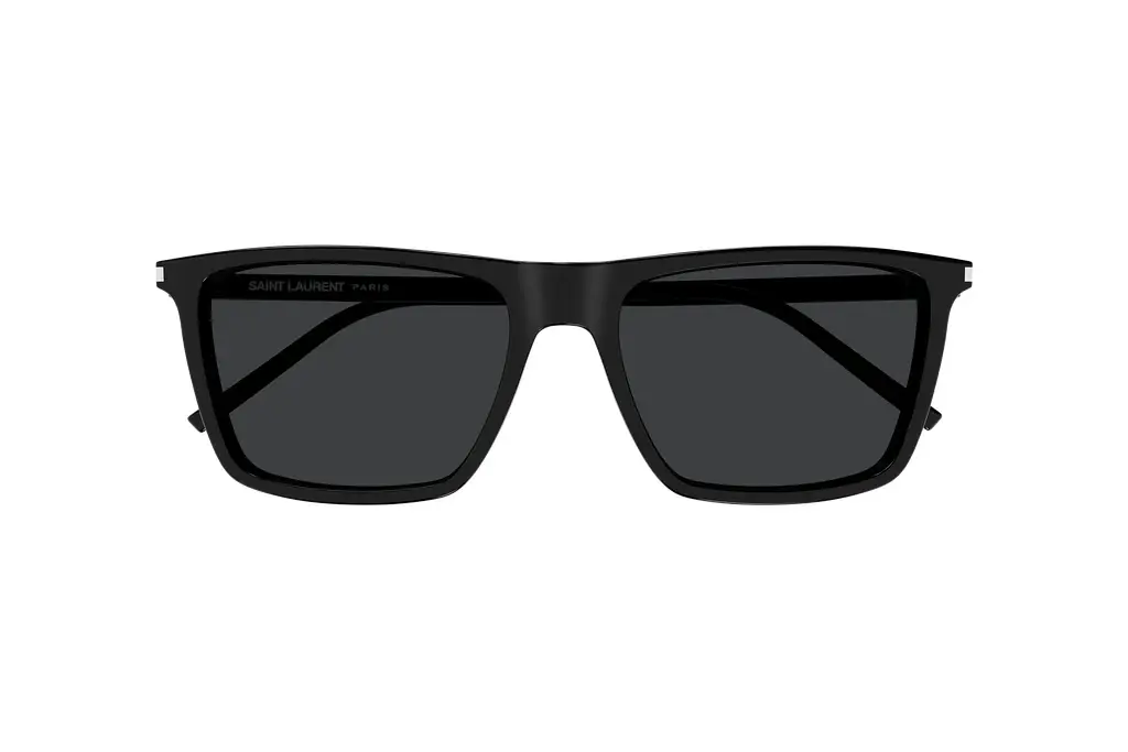Vorderansicht Saint Laurent SL 668 (001)