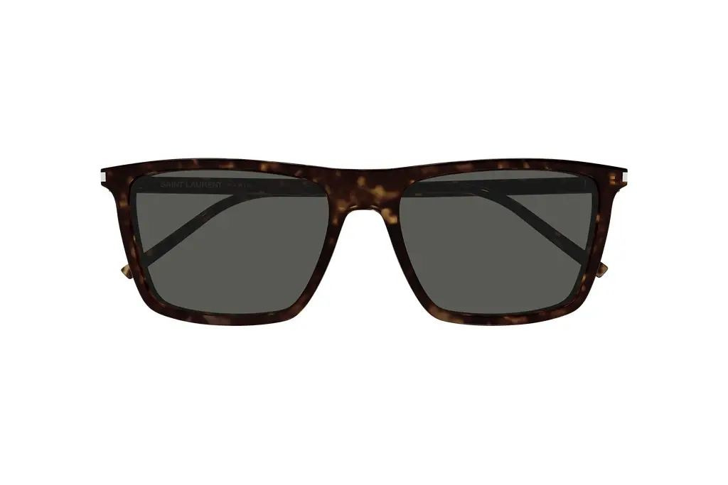 Vorderansicht Saint Laurent SL 668 (002)