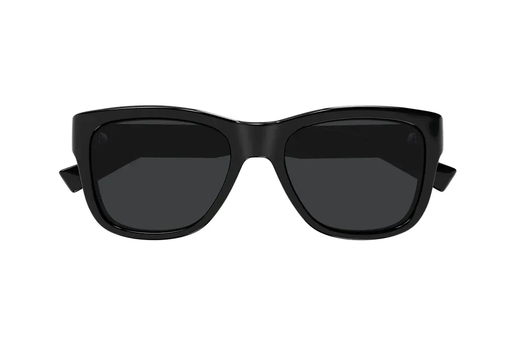 Vorderansicht Saint Laurent SL 674 (001)