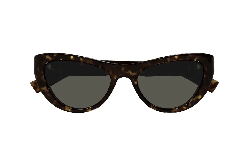 Vorderansicht Saint Laurent SL 676 (003)
