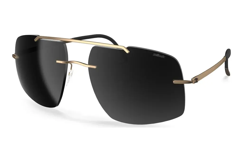 Silhouette   8739 7630 blackGold / Black