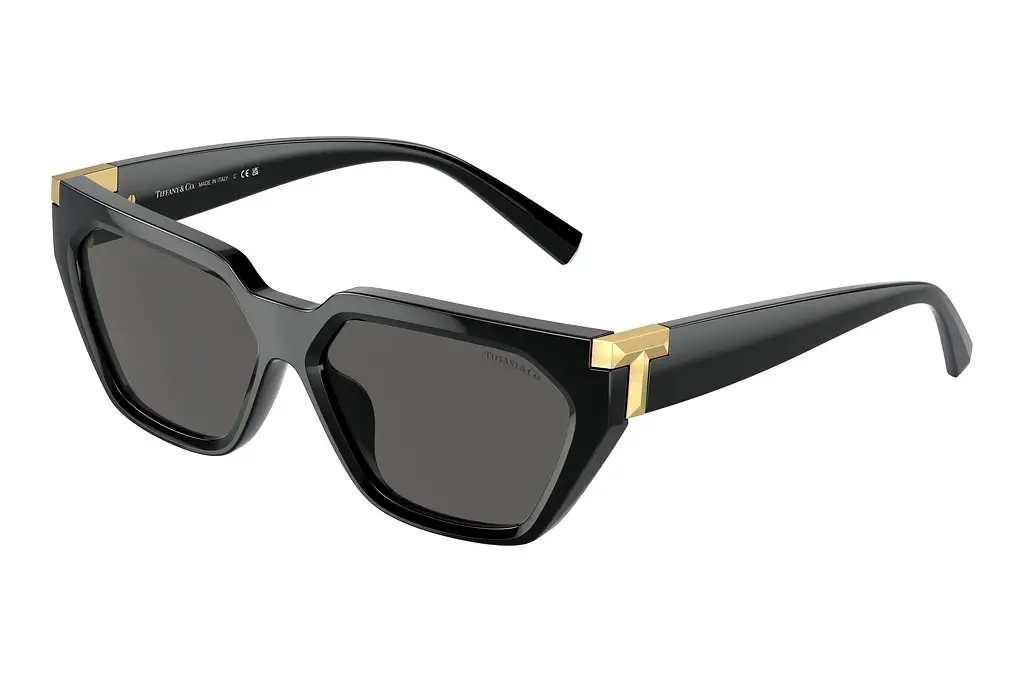 Tiffany   TF4205U 8001S4 Dark GreyBlack