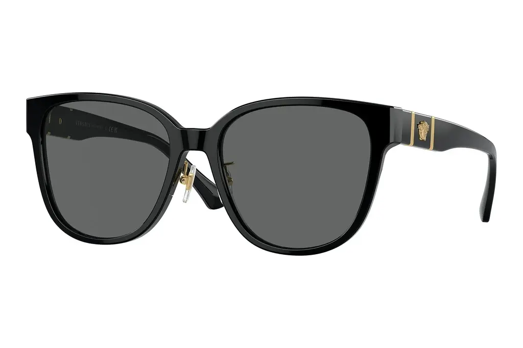 Versace   VE4460D GB1/87 Dark GreyBlack