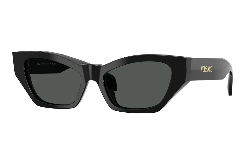 Versace   VE4488U GB1/87 Dark GreyBlack