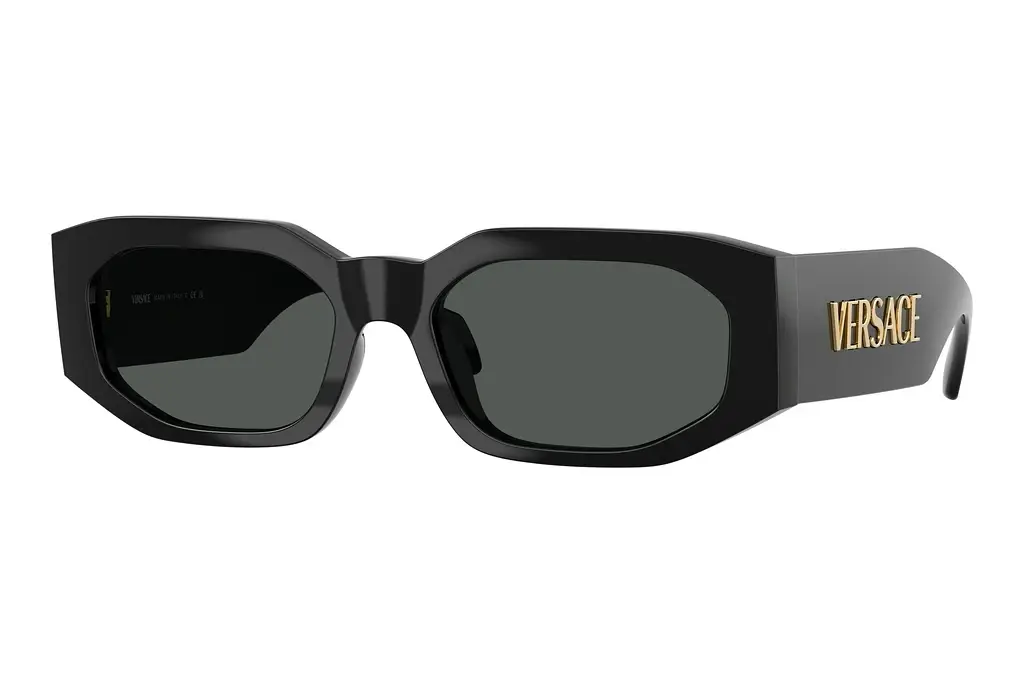 Versace   VE4489U GB1/87 Dark GreyBlack