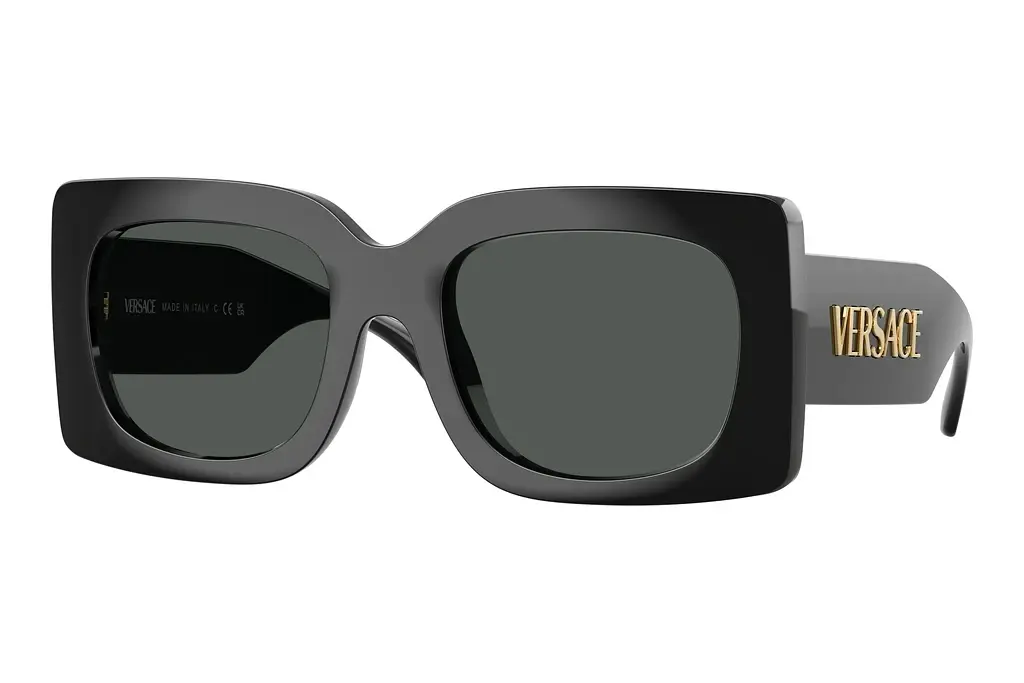 Versace   VE4496U GB1/87 Dark GreyBlack