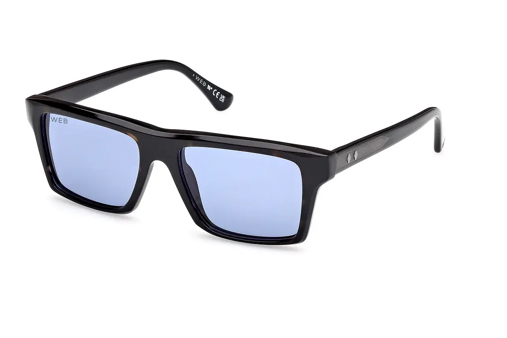 Web Eyewear   WE0383 56V blauHavanna/Einfarbig