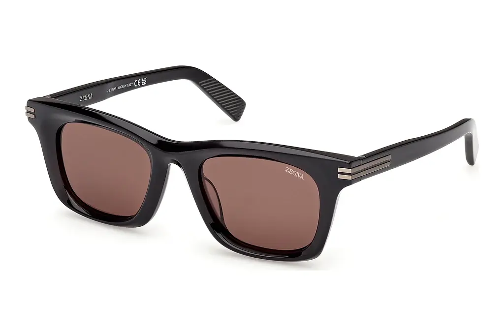 Zegna   EZ0270 20E braunGlänzend Grau