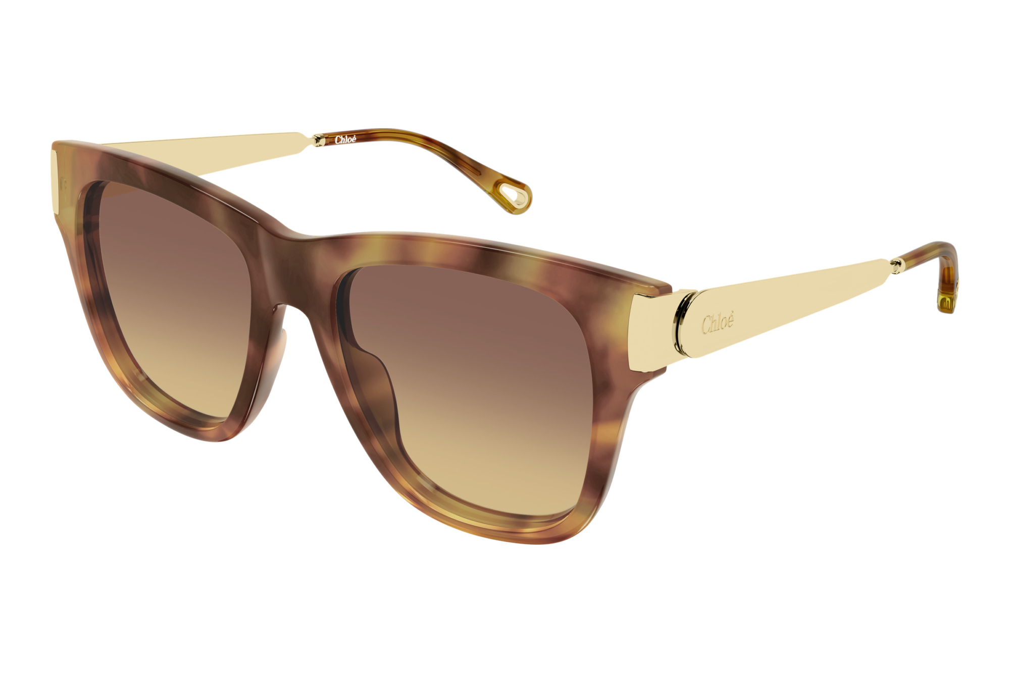Chloé   CH0349S 002 HAVANA