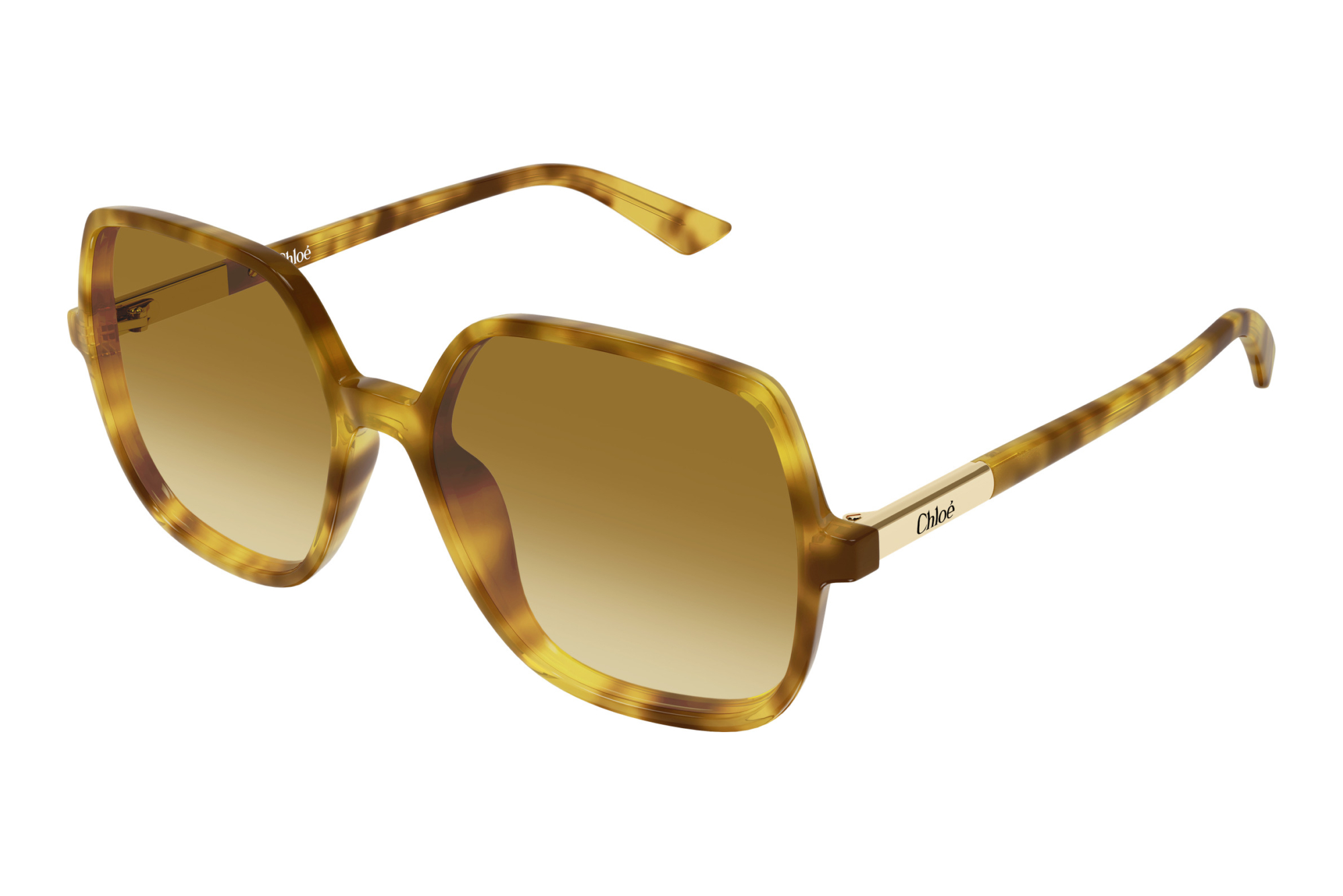 Chloé   CH0362S 004 HAVANA