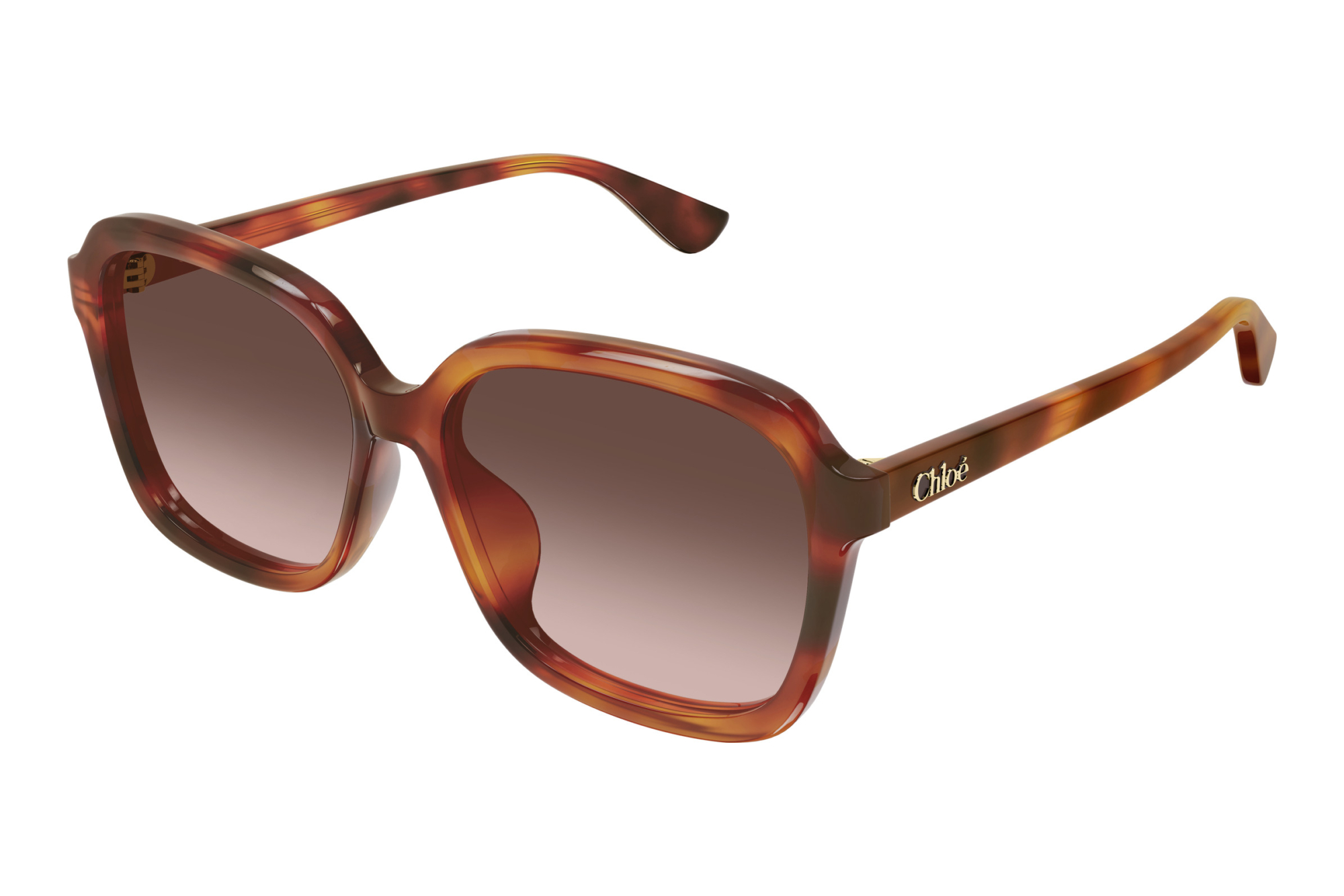 Chloé   CH0390SK 002 HAVANA