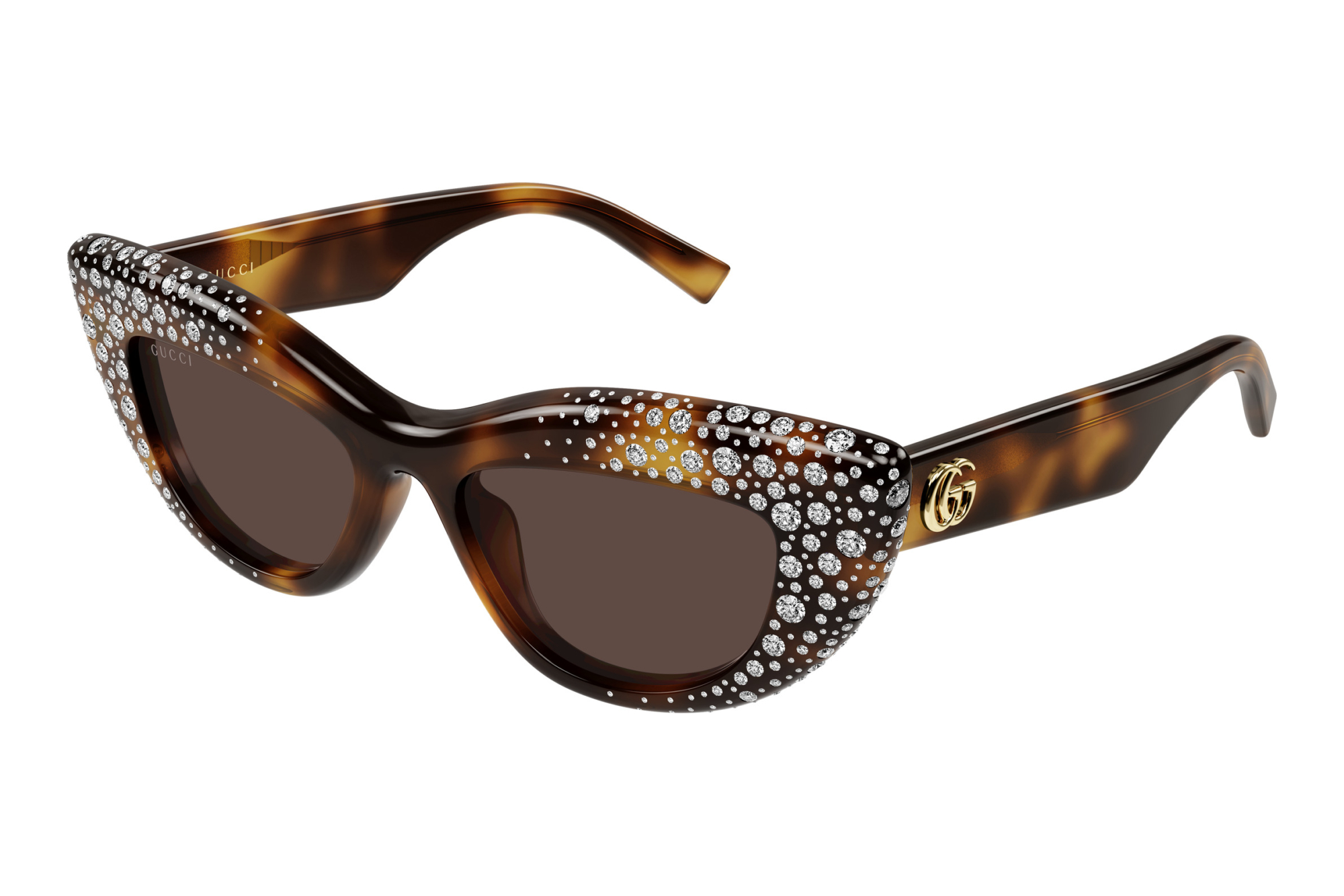 Gucci   GG2031S 006 HAVANA