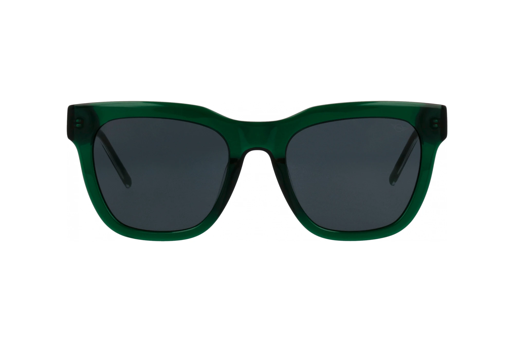 Vorderansicht MINI Eyewear MI 746018 (40)