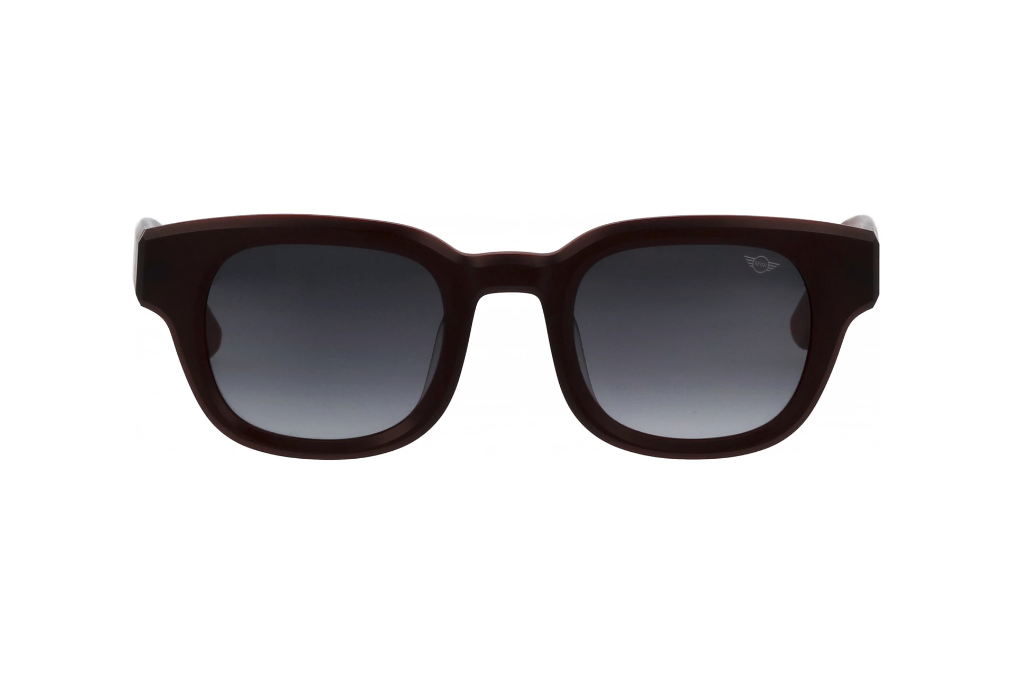 Vorderansicht MINI Eyewear MI 746019 (50)