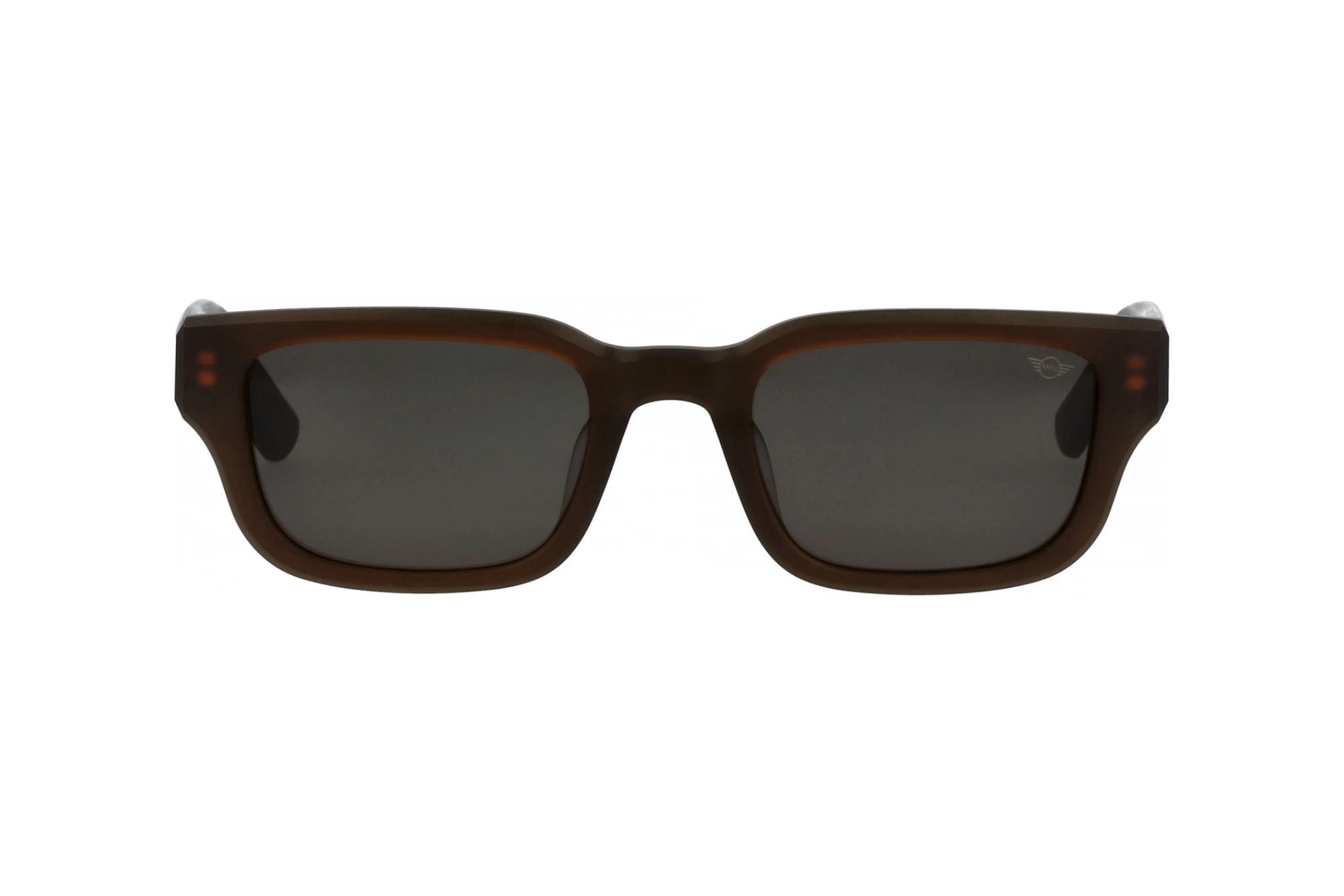 Vorderansicht MINI Eyewear MI 746022 (40)