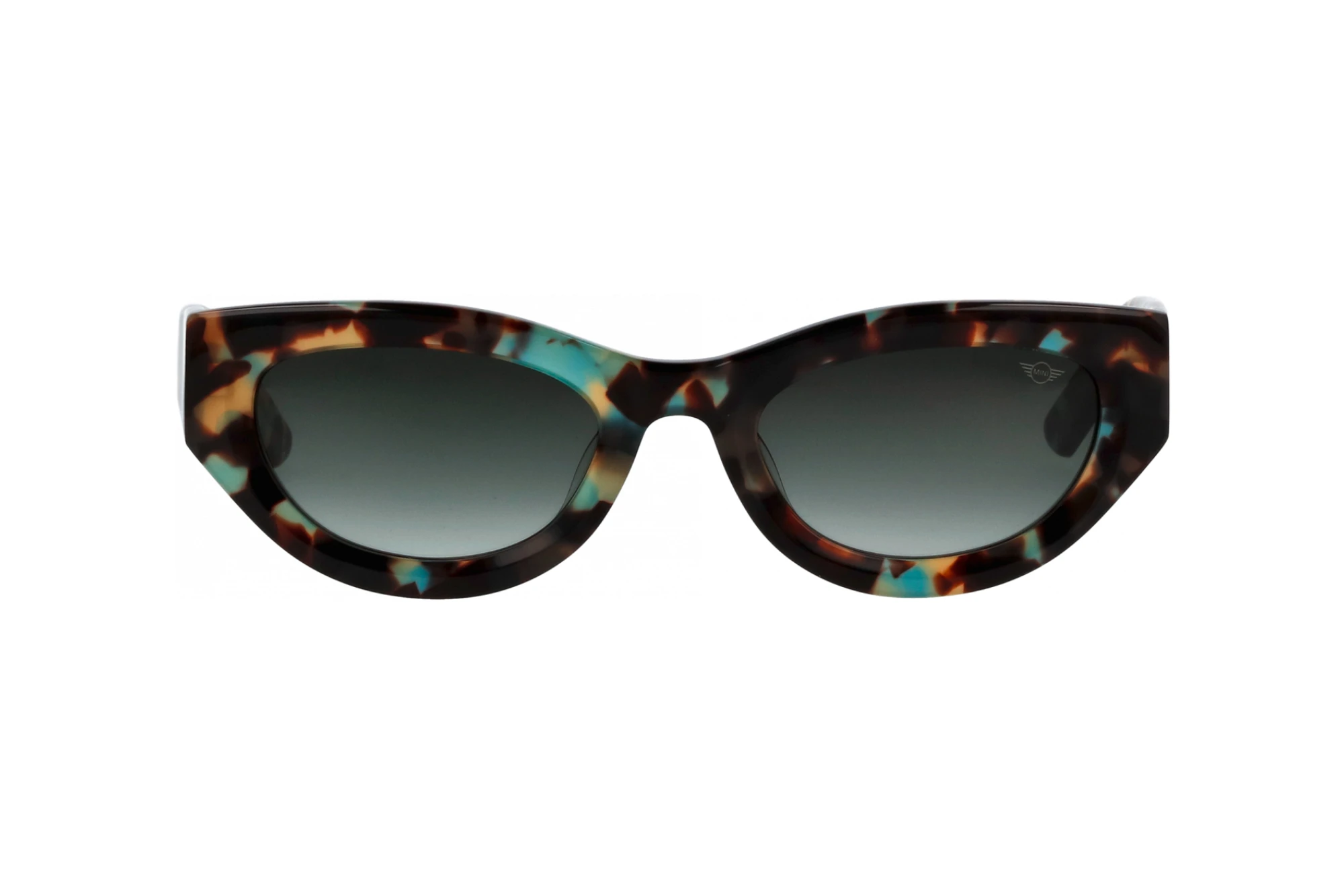 Vorderansicht MINI Eyewear MI 746023 (36)