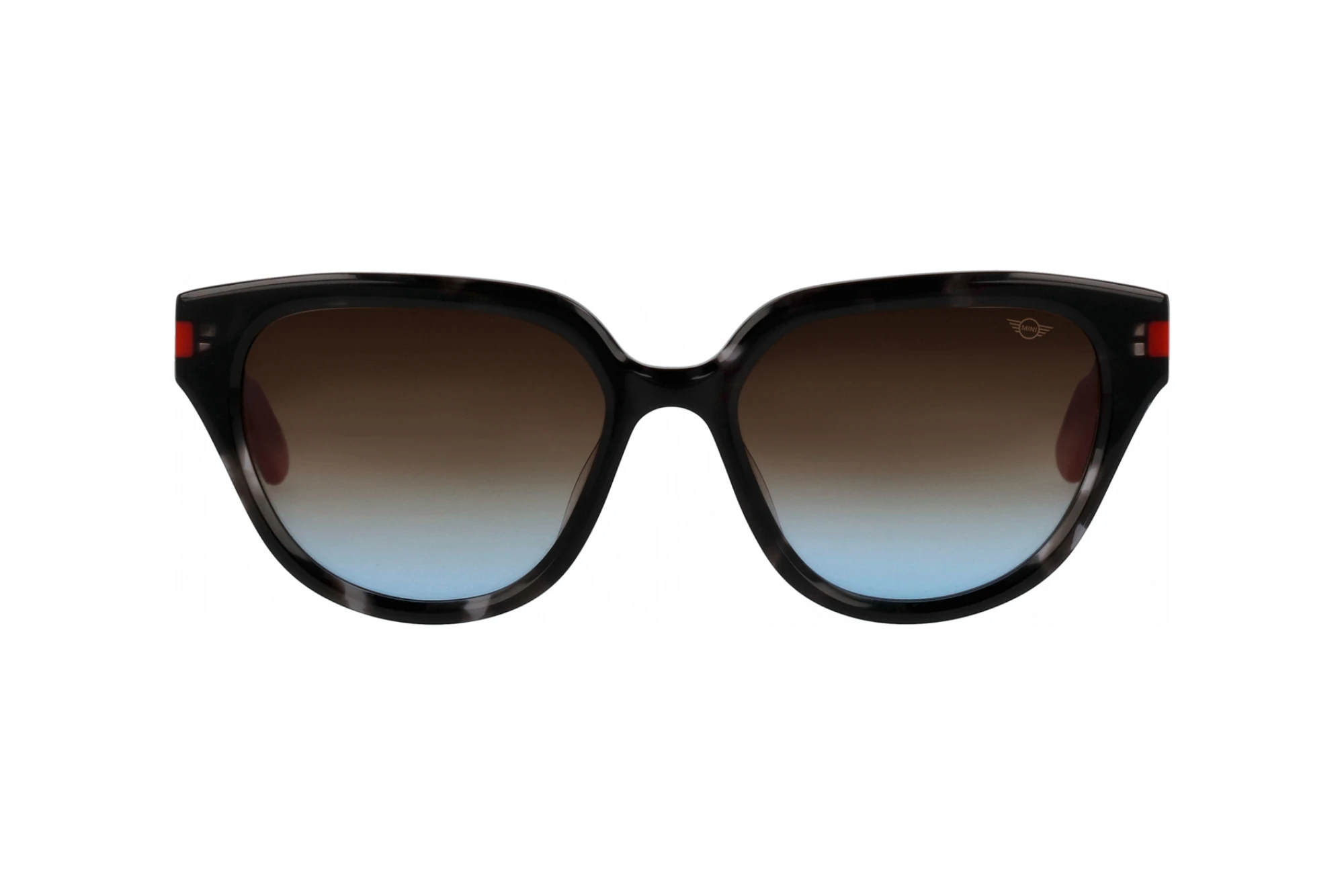 Vorderansicht MINI Eyewear MI 746024 (10)