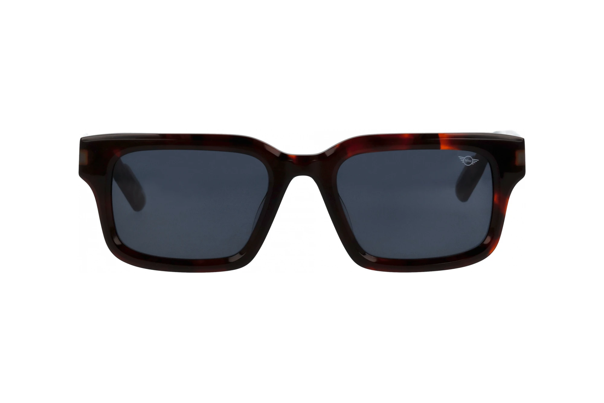 Vorderansicht MINI Eyewear MI 746025 (50)