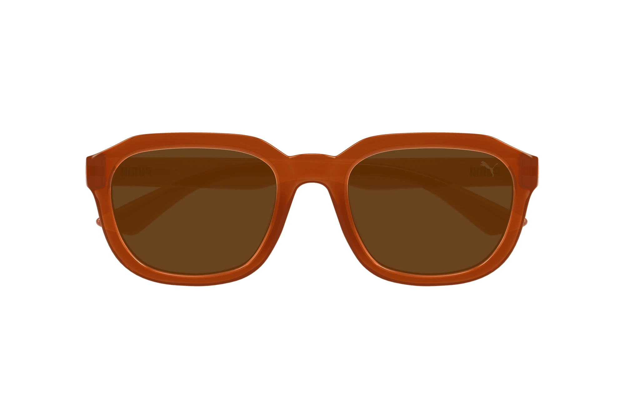 Vorderansicht Puma PU0461S (003)