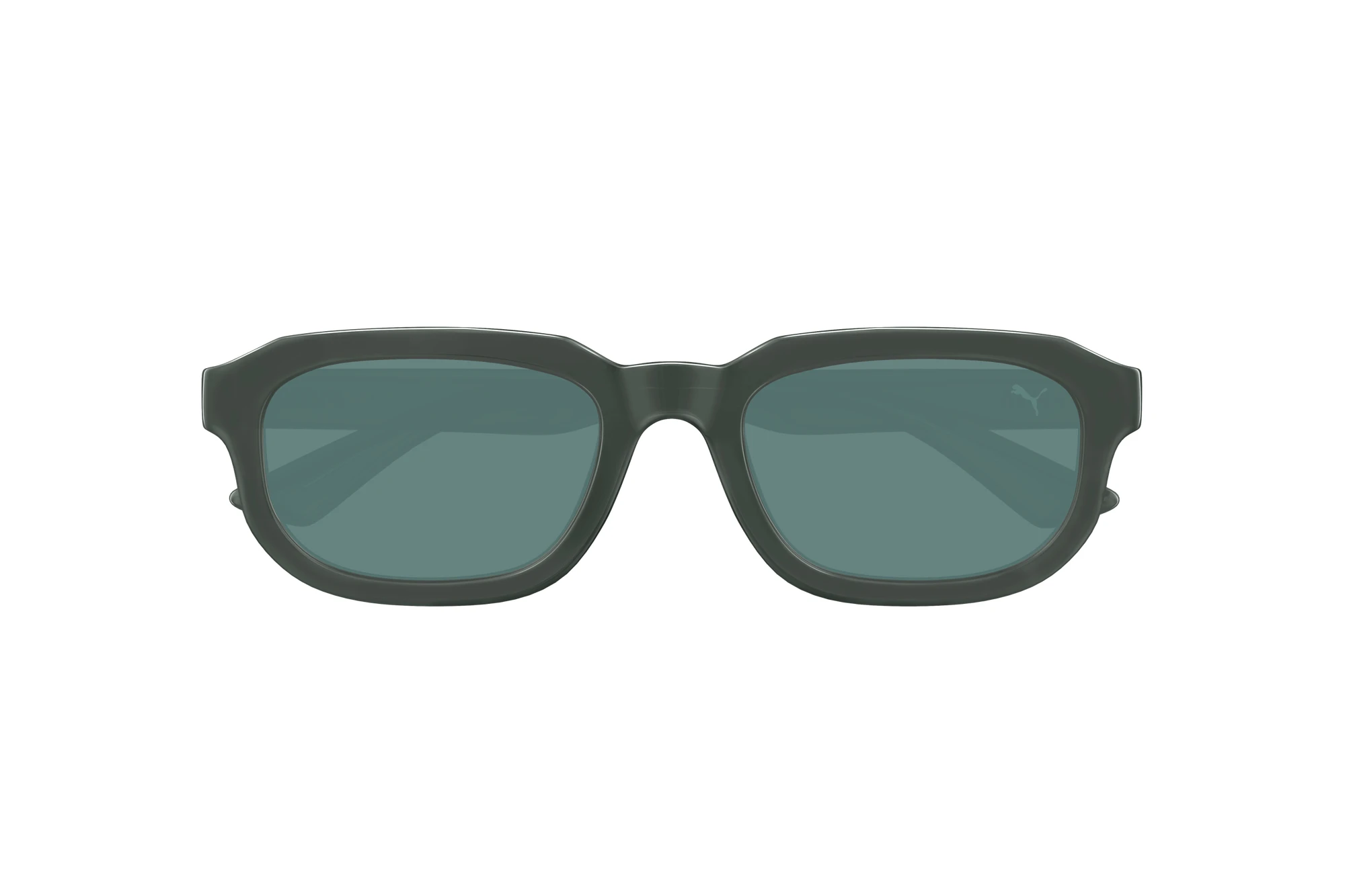 Vorderansicht Puma PU0463S (004)