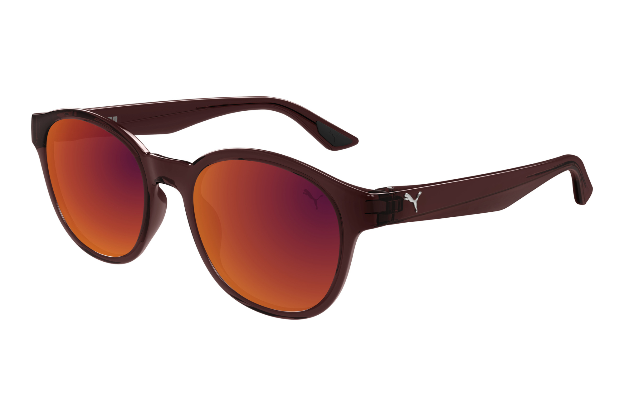 Puma   PU0522S 003 BROWN