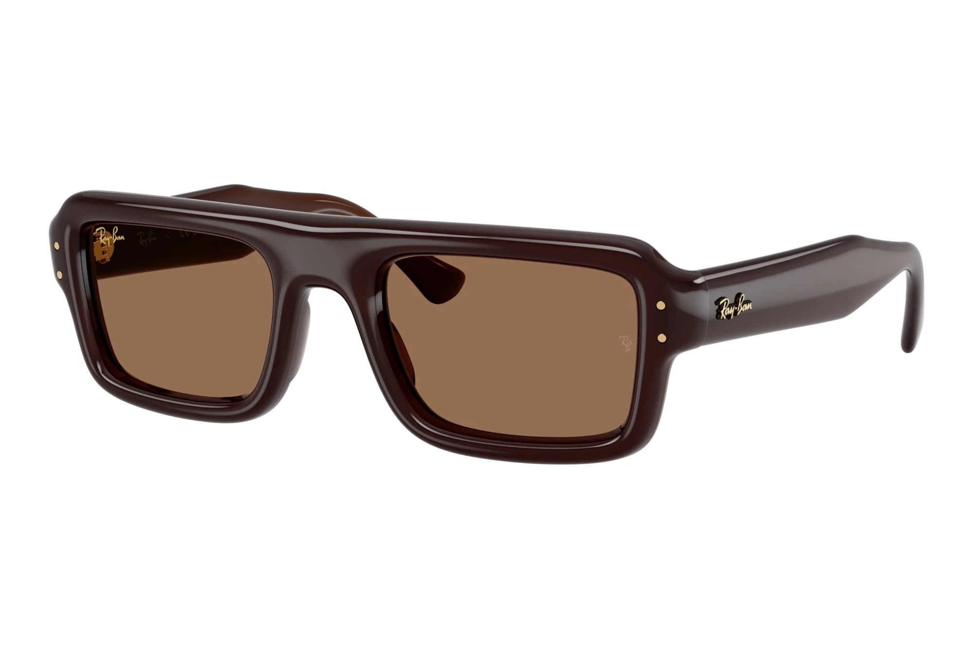 Ray-Ban   RB4954 689673 Dark BrownTransparent Brown