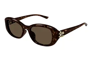 Alexander McQueen AM0470SA 002 HAVANA