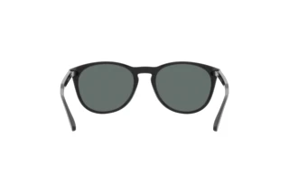 Rückansicht Arnette GORGON (AN4299 - 275381)
