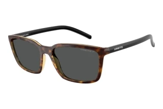 Vorderansicht Arnette AN4311 (295681)