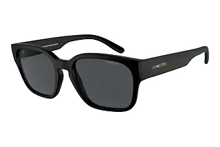 Arnette AN4325 290087 Dark GreyMatte Recycled Black