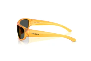 Seitenansicht Arnette GONDO (AN4361 - 287587)