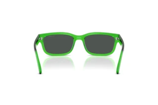 Rückansicht Arnette DEFYER (AN4363 - 301487)