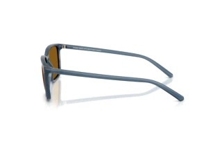 Seitenansicht Arnette DINSKY (AN4364 - 299683)