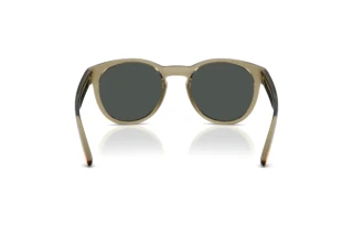 Rückansicht Arnette AN4371 (303187)