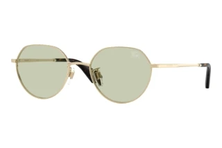 Vorderansicht Burberry BE3173D (1109/2)