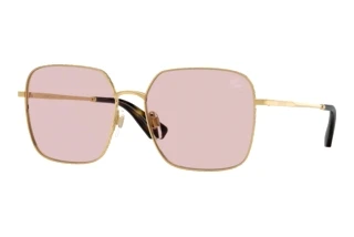 Vorderansicht Burberry BE3180 (1017/5)