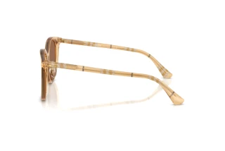 Seitenansicht Burberry BE4464D (416773)