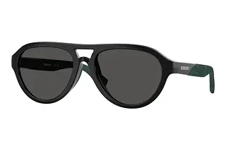 Burberry JB4005U 300187